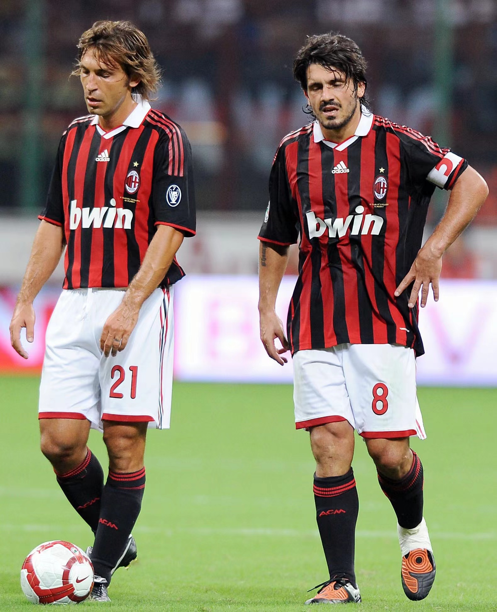 portal-section-layout